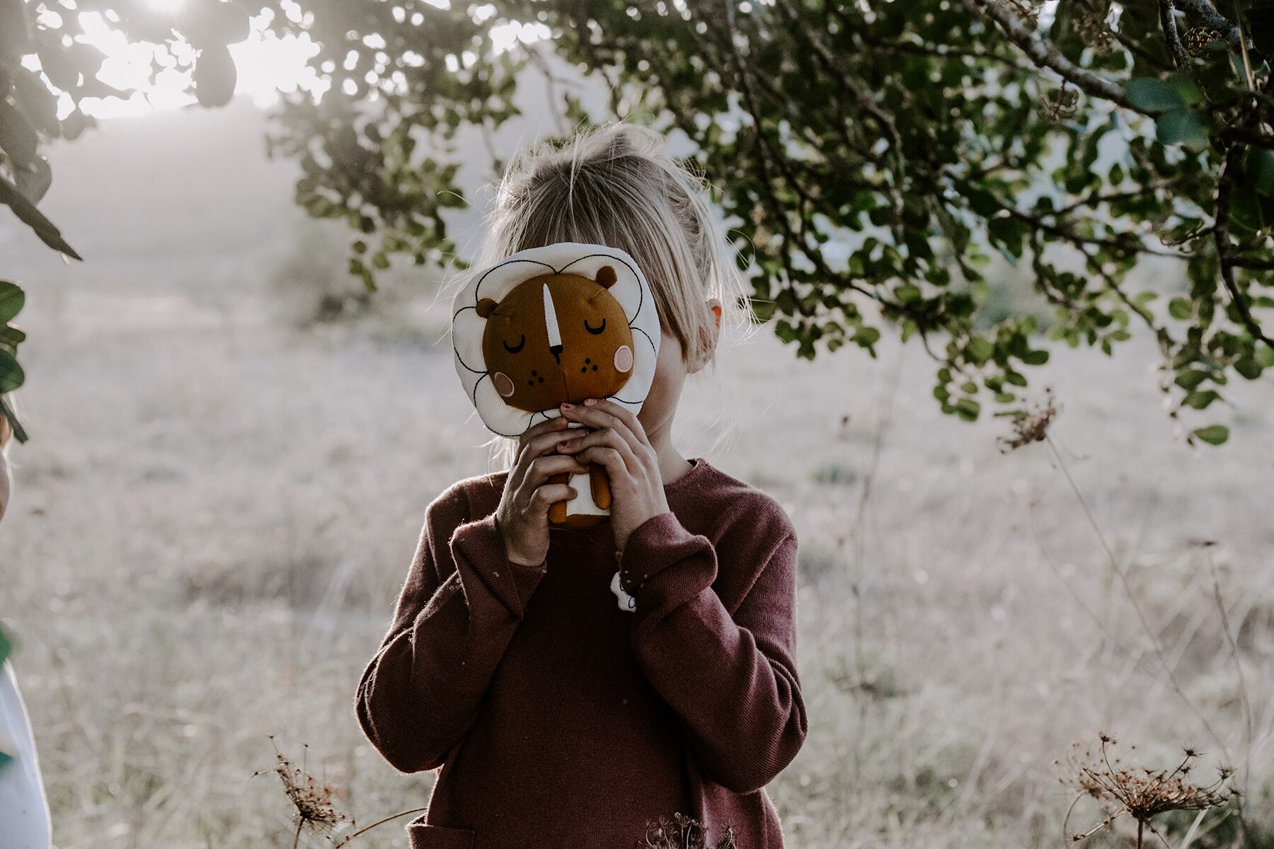 Picca Loulou Löwe in Geschenkbox, H18cm – Bild 5