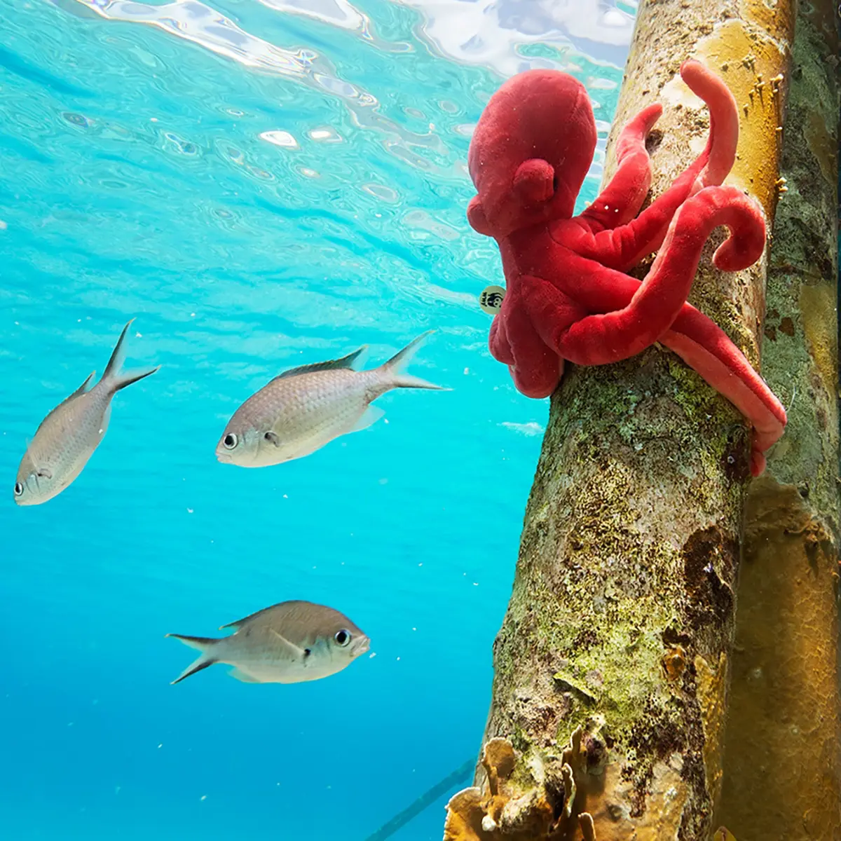 WWF Kuscheltier Oktopus, 50cm