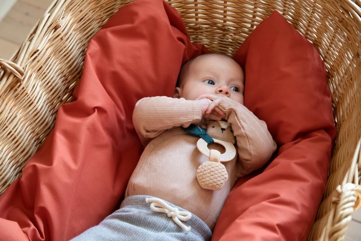 DELISTED Sebra Aktivitäts-Rassel, Mini, Milo der Bär – Bild 3