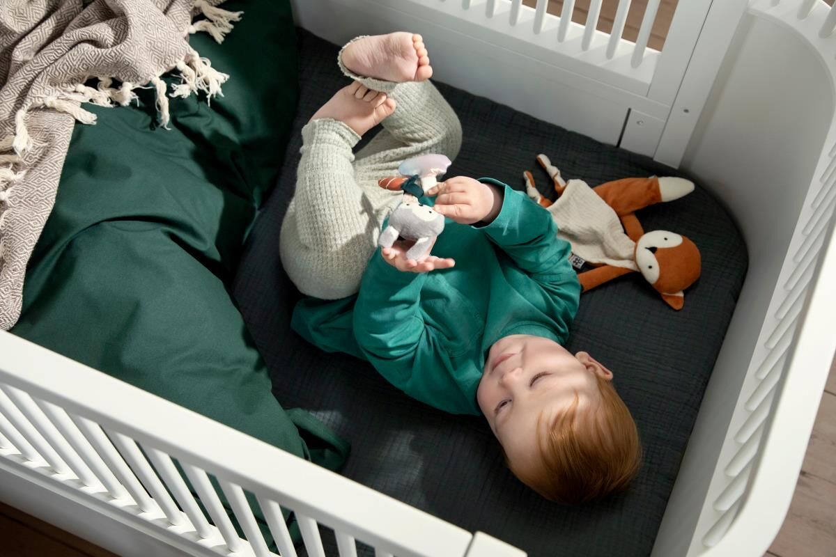Sebra Aktivitäts-Rassel, Mini, Siggy das Kaninchen – Bild 2
