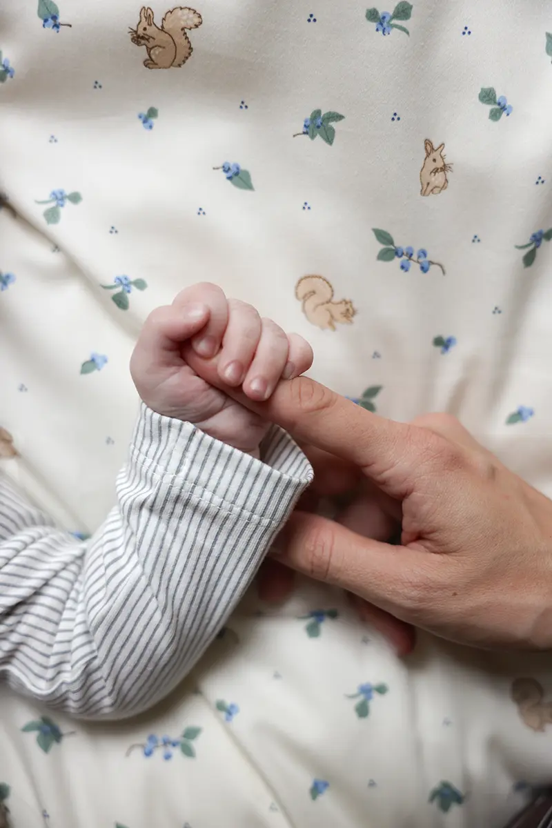 Cam Cam Baby Bettwäsche „Blueberries“ – 70x100cm / 40x45cm